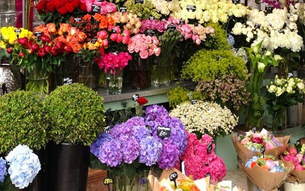 Shop hoa Đà Nẵng giá rẻ có nhận điện hoa siêu tốc